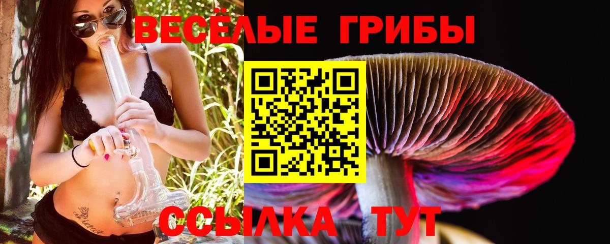 Краснодар  Галлюциногенные грибы GOLDEN TEACHER  Вход с VPN 